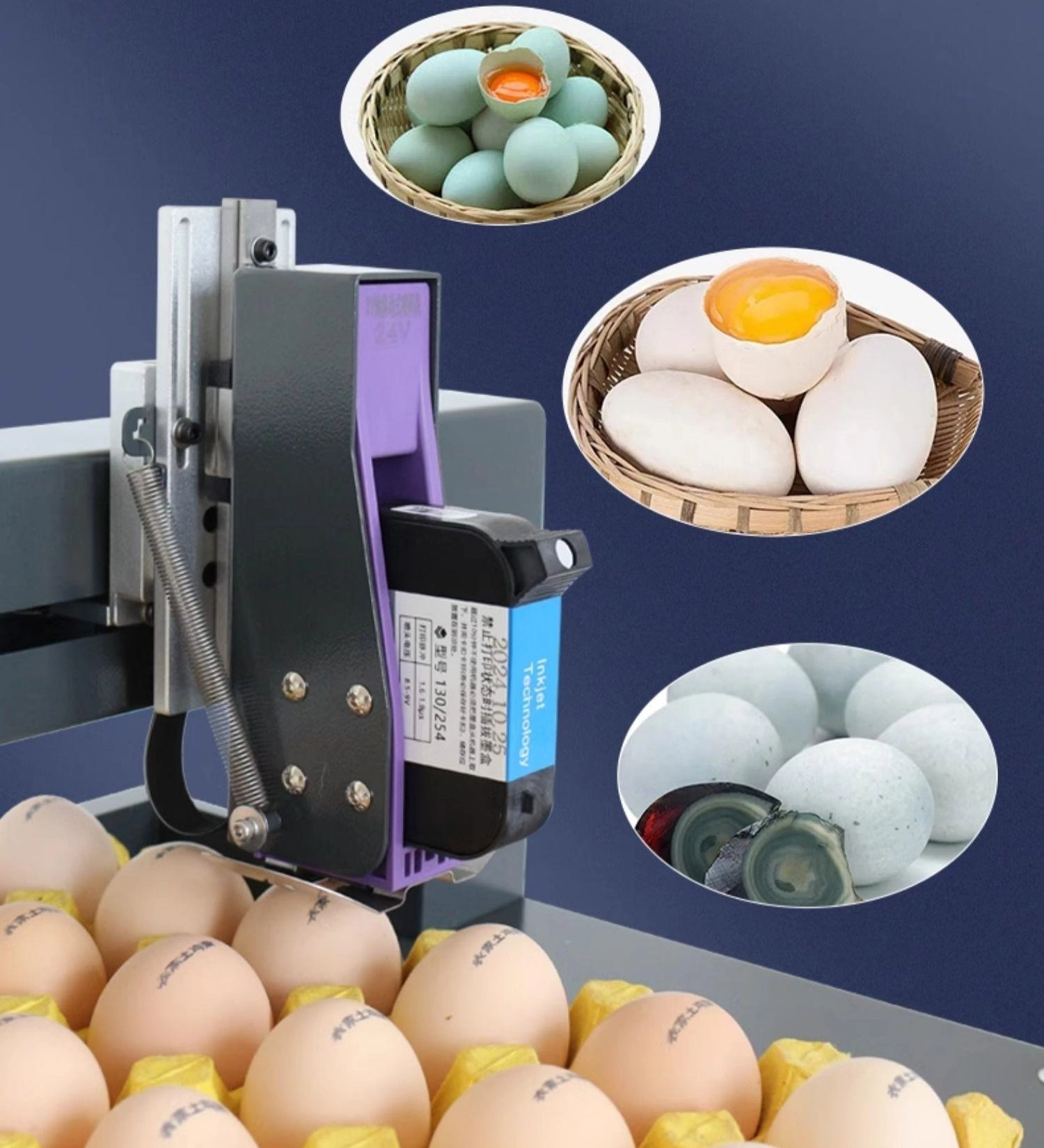 DP1-150-600 Inkjet Egg Marking - огляд і ціна Power Tools Logo