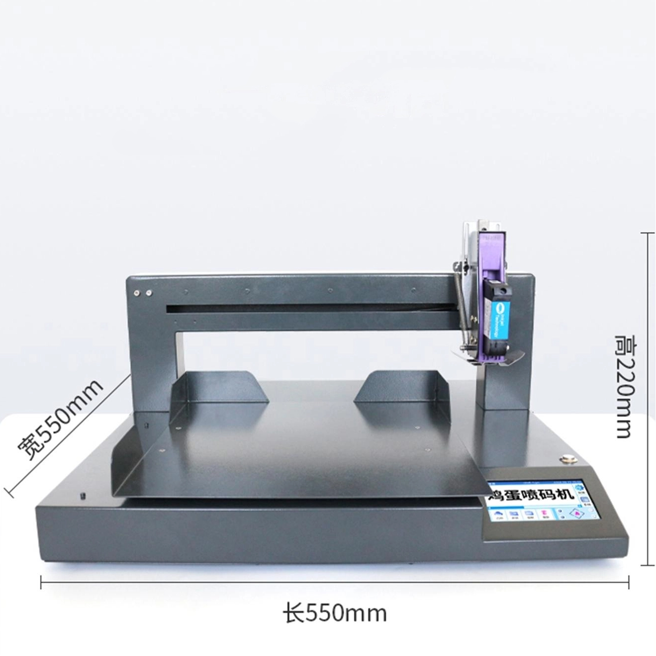 DP1-150-600 Inkjet Egg Marking - огляд і ціна Power Tools Logo